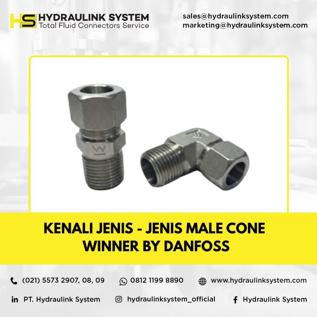 Male Cone Winner