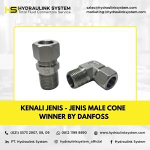 Male Cone Winner