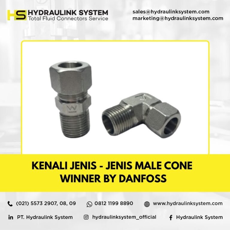 Male Cone Winner